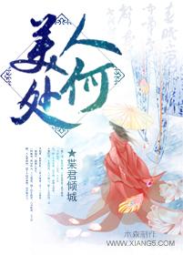 美人何处封面