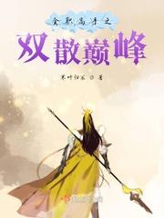 全职高手之双散巅峰封面