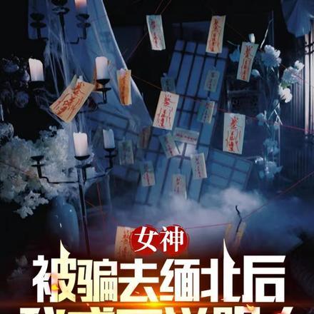 女神被骗去缅北后，我成了送阴人封面