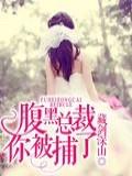 腹黑总裁，你被捕了封面