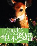 宝贝儿，咱不离婚封面
