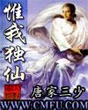 惟我独仙封面