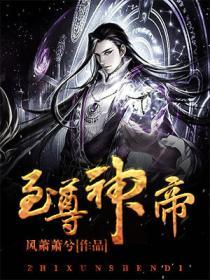 至尊神帝封面
