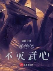 龙珠之不灭武心封面