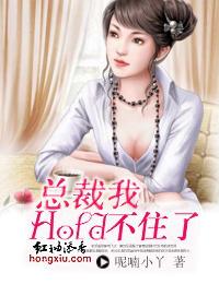 总裁我hold不住了!封面