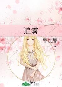 追雾封面