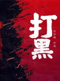 打黑(出版)封面