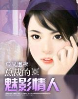 总裁的魅影情人封面