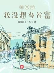 重生之我没想当首富封面