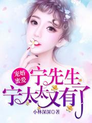 宠婚蜜爱：宁先生，宁太太又有了林暖宁时御封面
