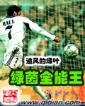 绿茵全能王封面