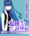 宠物王爷坏坏妃封面
