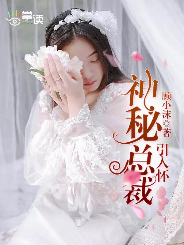 神秘总裁引入怀封面