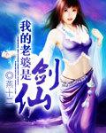我的老婆是剑仙封面