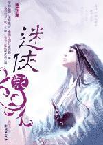 迷侠记封面