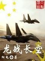 龙战长空封面