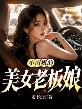 小司机的美女老板娘封面