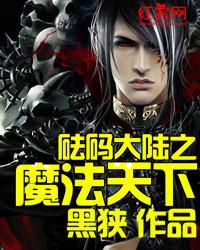 砝码大陆之魔法天下封面