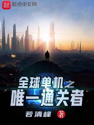 全球单机之唯一通关者封面
