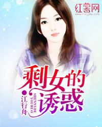 剩女的诱惑封面