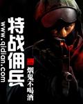 特战佣兵封面