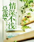 总裁，情深不浅封面