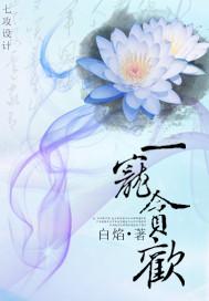 一宠贪欢封面