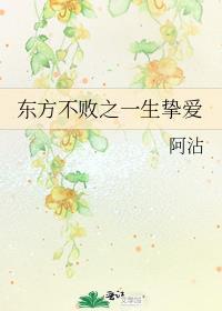 东方不败之一生挚爱封面
