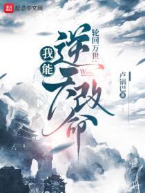 轮回模拟：我能逆天改命封面