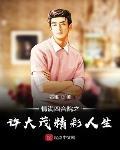 情满四合院之许大茂精彩人生封面