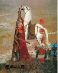 新岳飞传封面