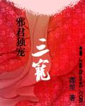 邪君独宠:三宠封面