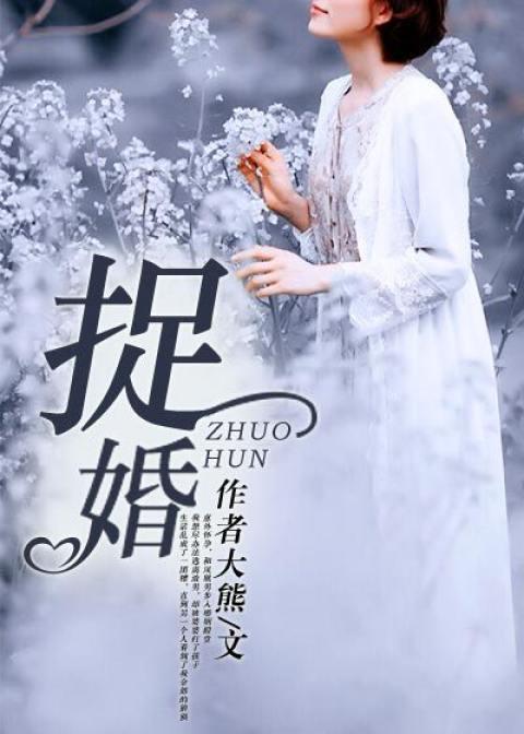 捉婚封面