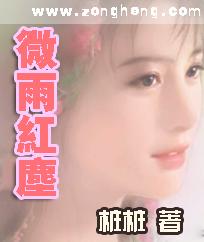 微雨红尘封面