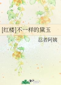 红楼不一样的黛玉封面