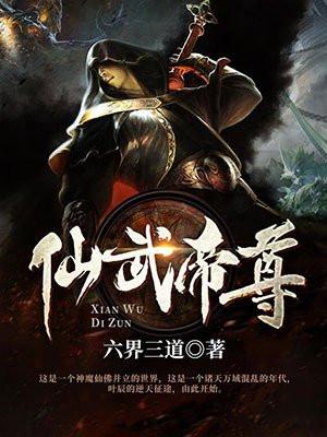 武道神帝叶辰封面