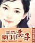 豪门小妻封面