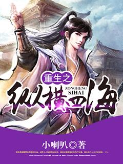 重生之纵横四海封面