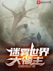 迷雾大统领封面