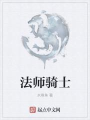 法师骑士封面