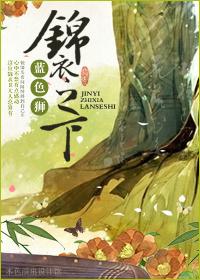 锦衣之下封面