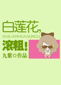白莲花，滚粗!封面