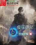 虚实进化封面
