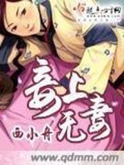 妾上无妻封面