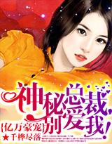 亿万豪宠:神秘总裁，别爱我!封面