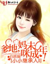 小小继承人ⅱ:爹地，妈咪未成年!封面