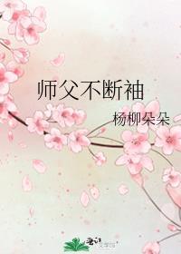 师父不断袖封面