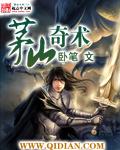 茅山奇术封面