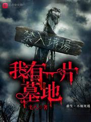 我有一片墓地封面
