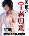 黑道之王者归来封面